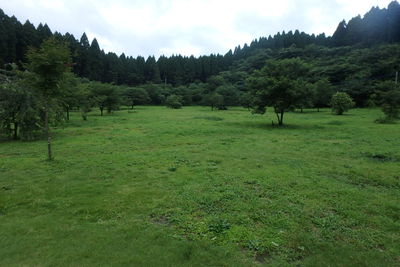 ひとりで熊本にキャンプにいってきた夏の思い出