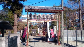 正月の装い ~敷島神社(埼玉県志木市)~ 正月の装い ~敷島神社(埼玉県志木市)~