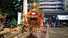 夏本番、夏祭り 2024/07/20 15:28:38