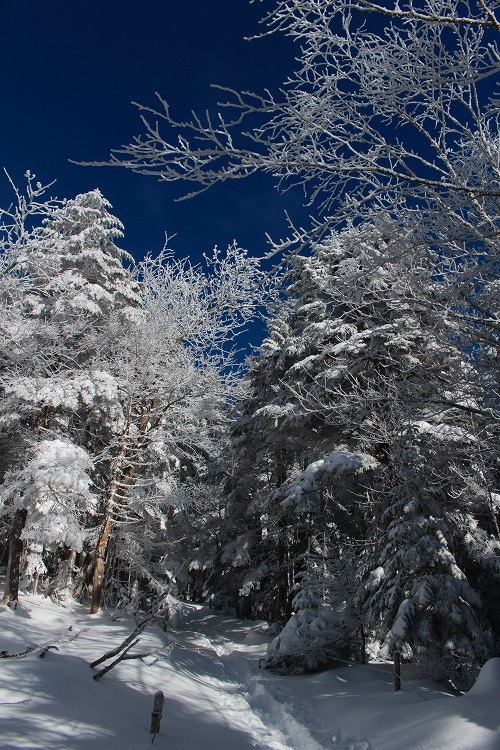 雪の硫黄岳 雪の硫黄岳